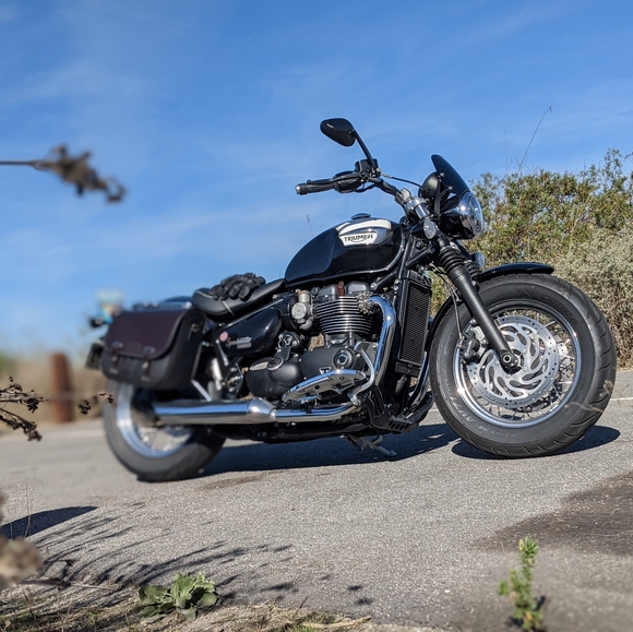 Meet your Posher, Geoff - Picture 2 of 2